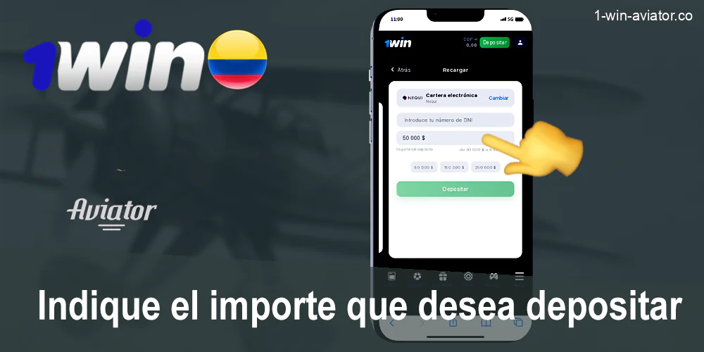 Introduzca el importe de la recarga 1Win